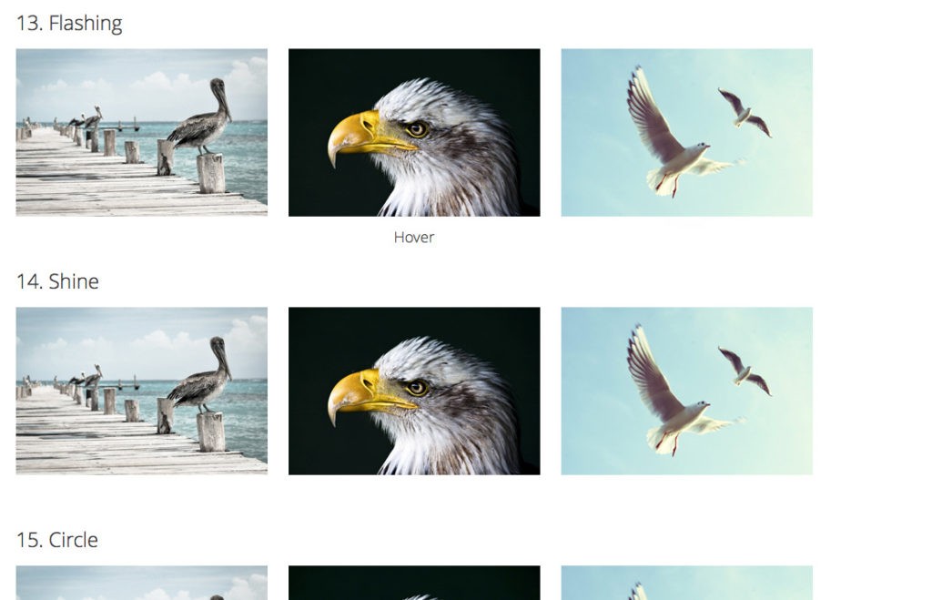 Diferentes efectos hover para imágenes 9 efectos hover imagenes